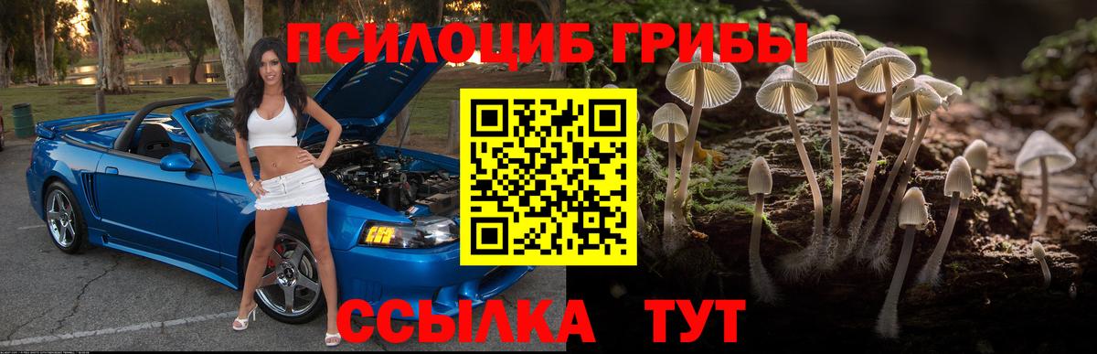 Галлюциногенные грибы ЛСД Елец